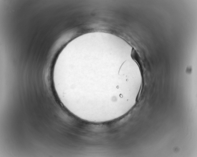X0000103130245200809191948