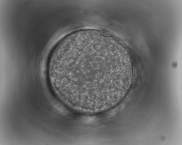 X0000103130247200809191948