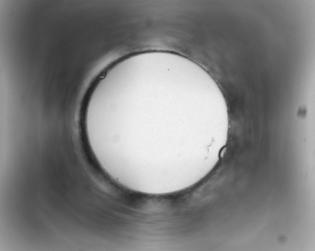 X0000103130248200809191948