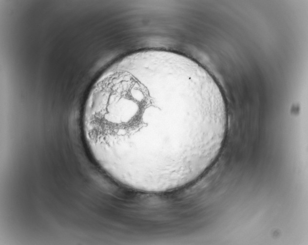 X0000103130249200809191948