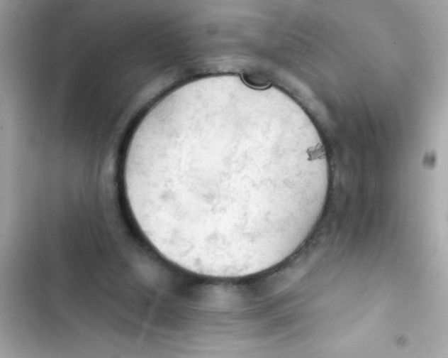X0000103130250200809191948