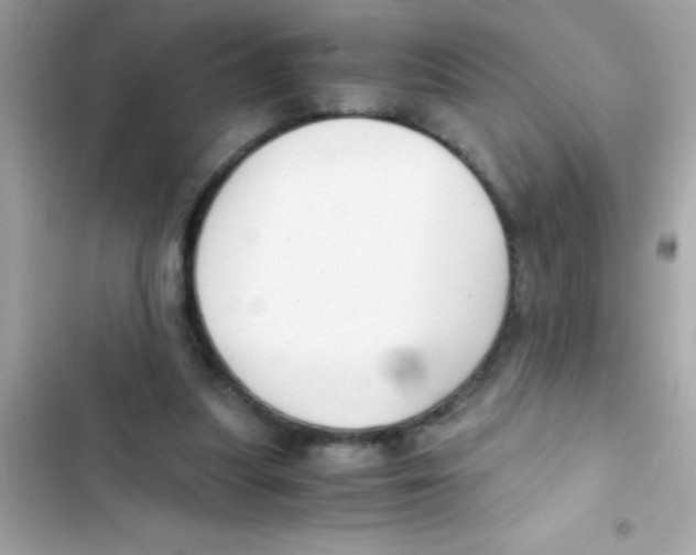 X0000103130251200809191948