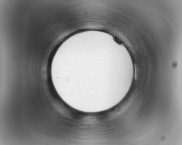 X0000103130252200809191948