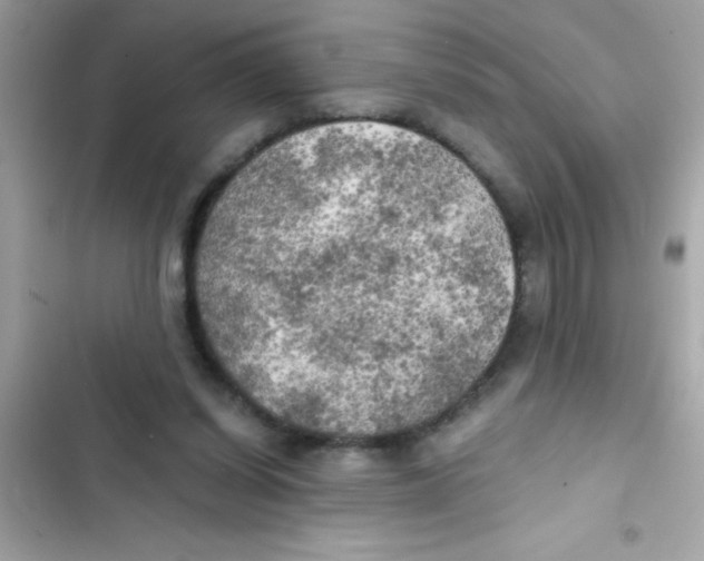 X0000103130254200809191948
