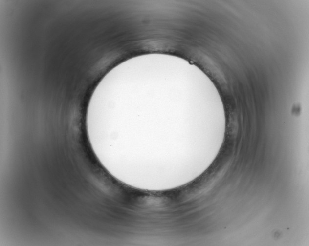 X0000103130255200809191948