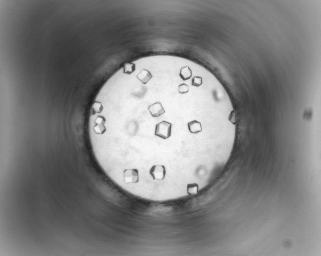 X0000103130257200809191948