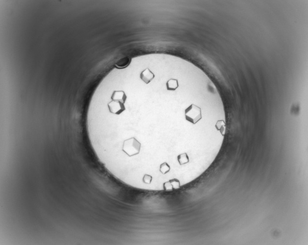 X0000103130258200809191948
