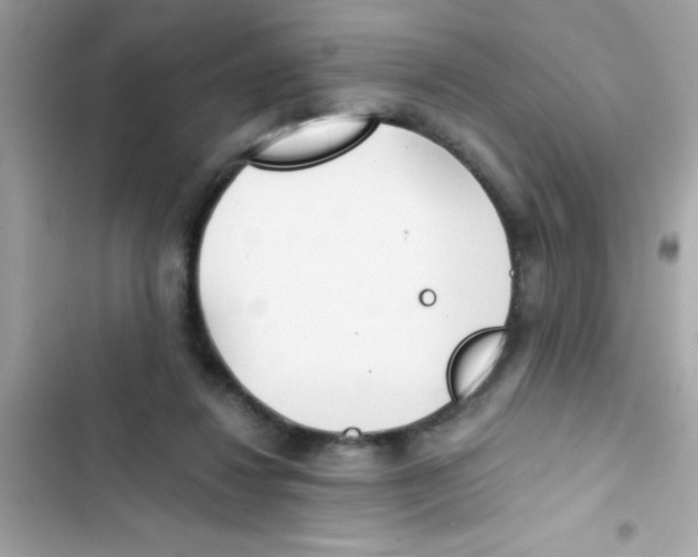 X0000103130260200809191948