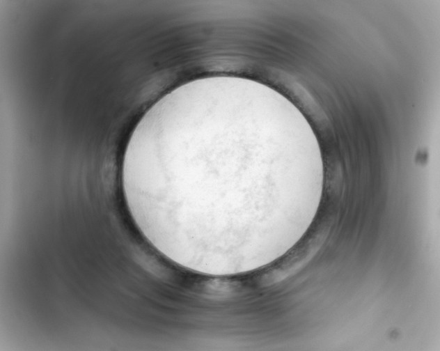 X0000103130261200809191948