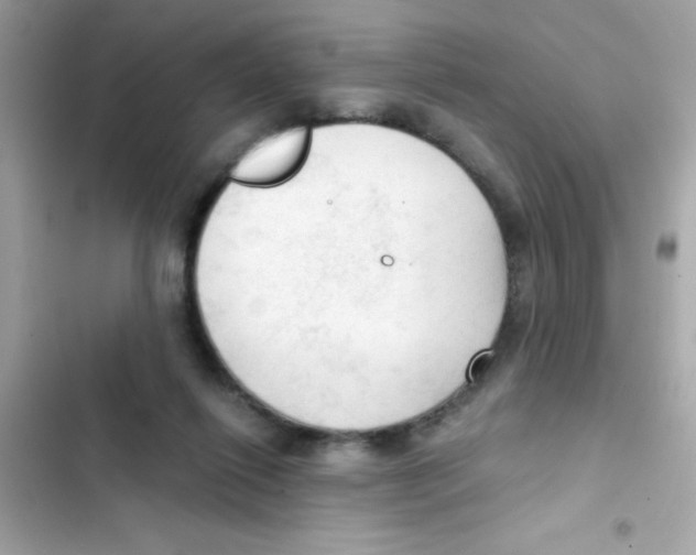 X0000103130262200809191948