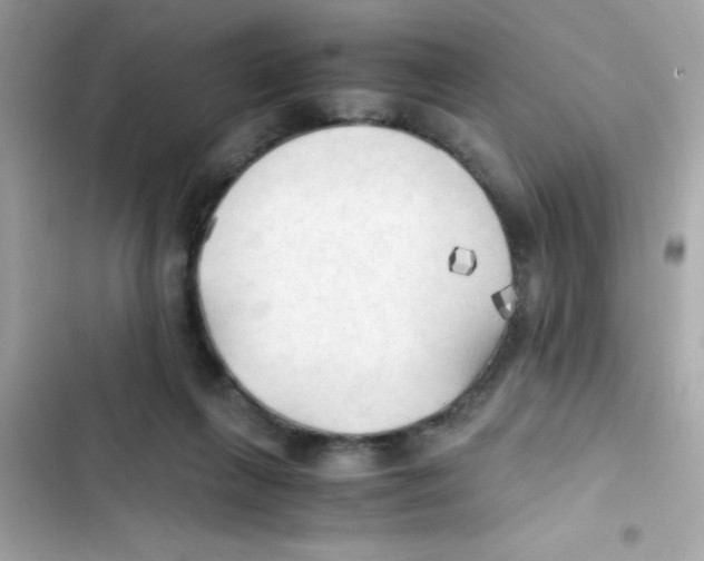 X0000103130263200809191948