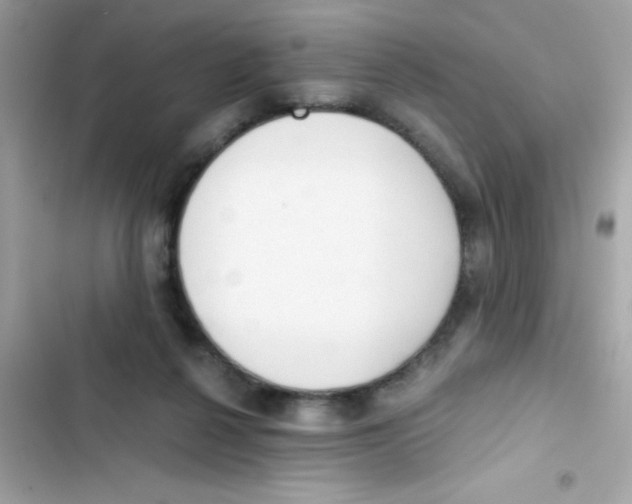 X0000103130264200809191948