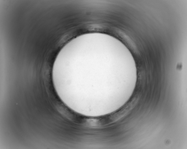 X0000103130265200809191948