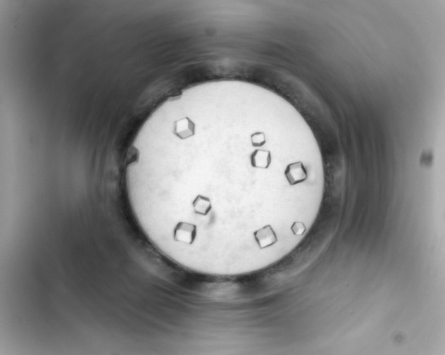 X0000103130266200809191948