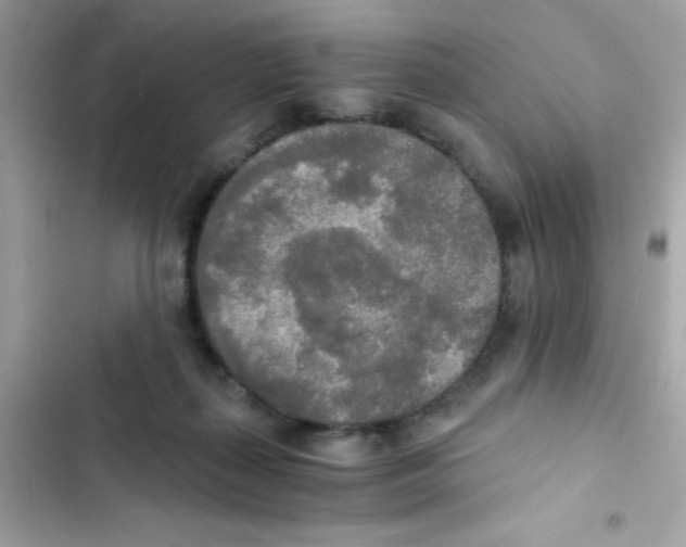X0000103130267200809191948