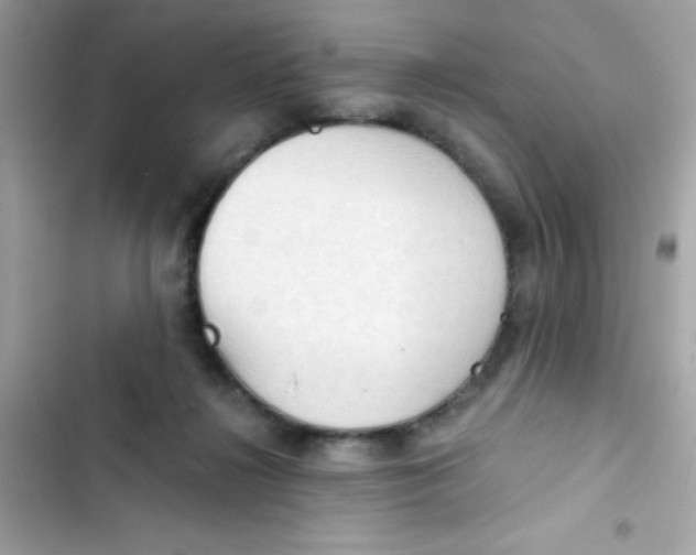 X0000103130268200809191948