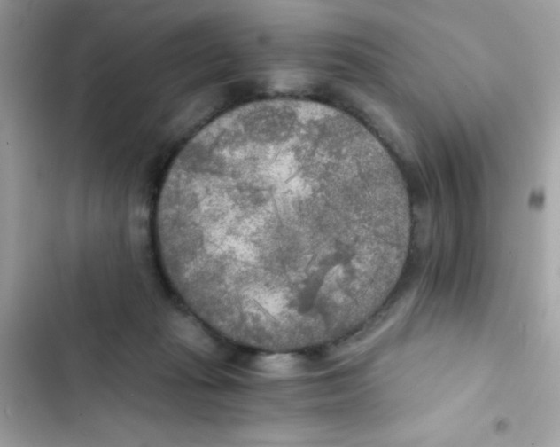 X0000103130269200809191948