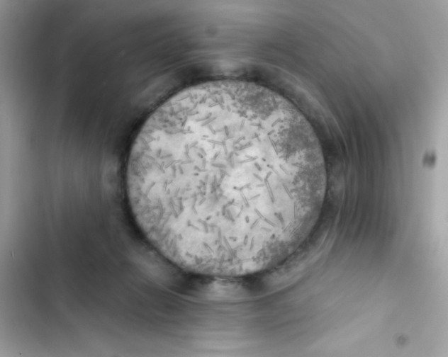 X0000103130270200809191948