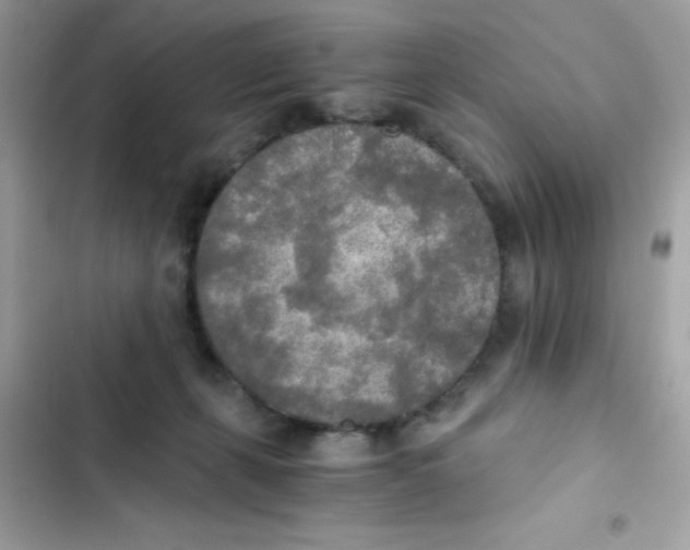 X0000103130271200809191948