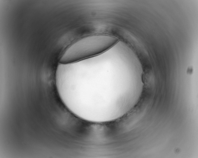 X0000103130272200809191948