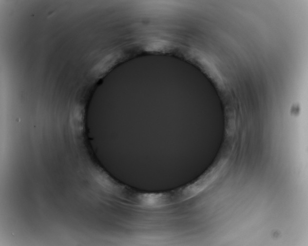 X0000103130273200809191948