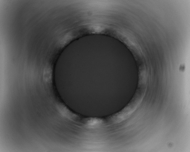 X0000103130274200809191948