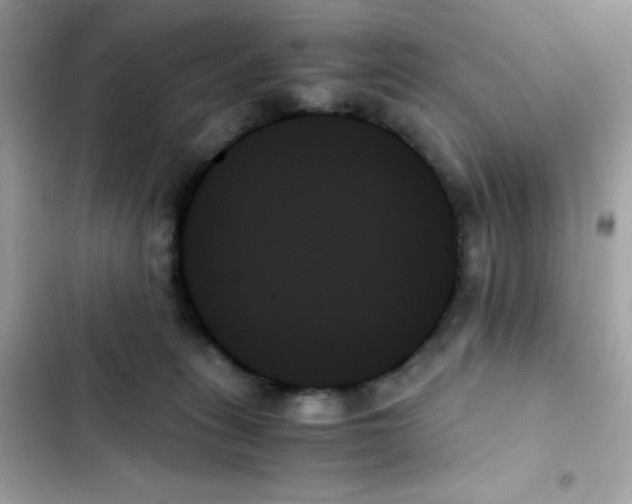 X0000103130275200809191948