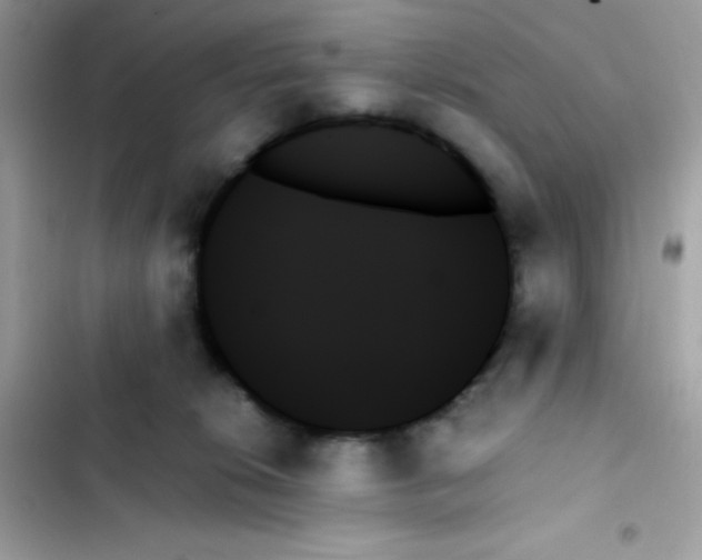 X0000103130276200809191948