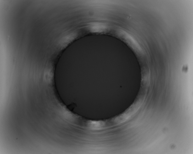 X0000103130277200809191948