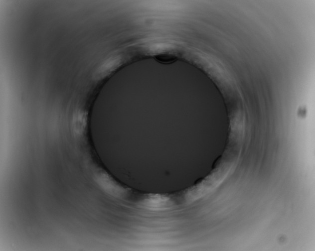 X0000103130278200809191948