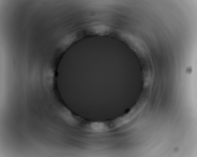 X0000103130279200809191948