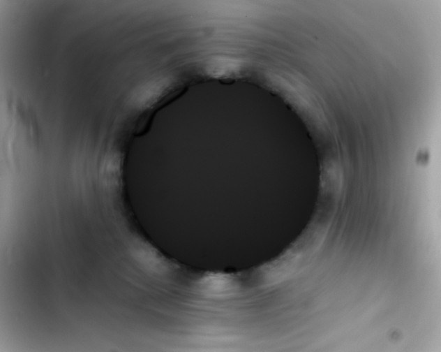 X0000103130280200809191948