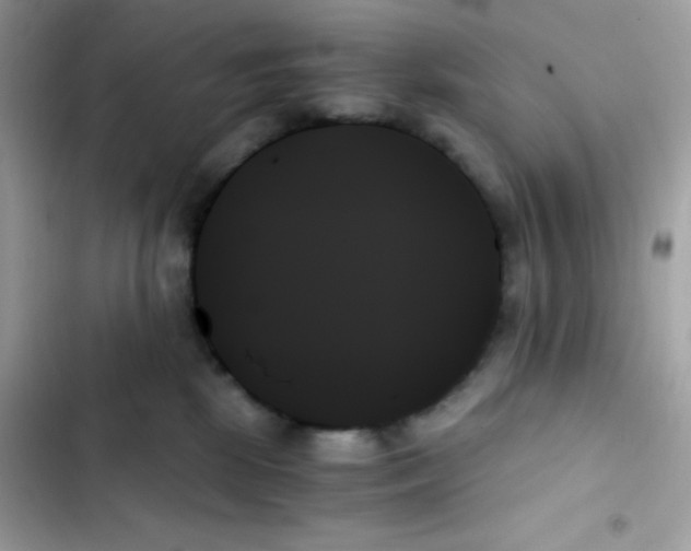 X0000103130281200809191948