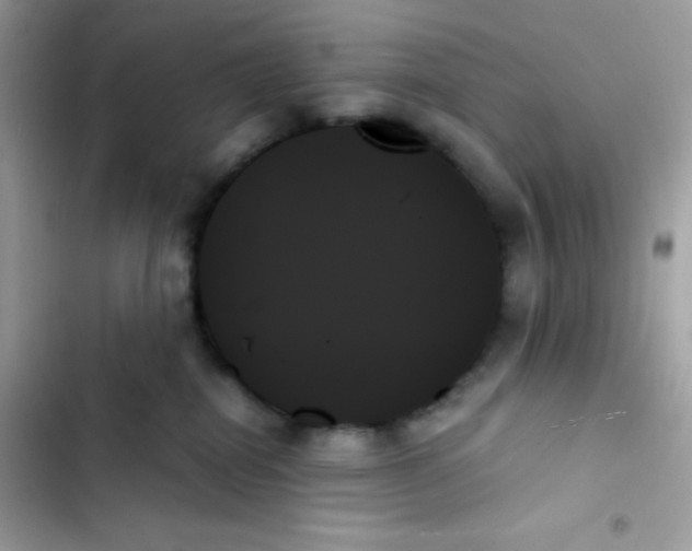 X0000103130282200809191948