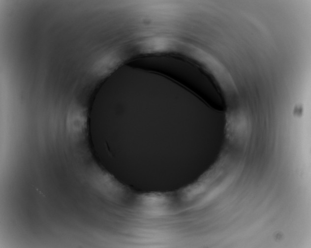 X0000103130284200809191948