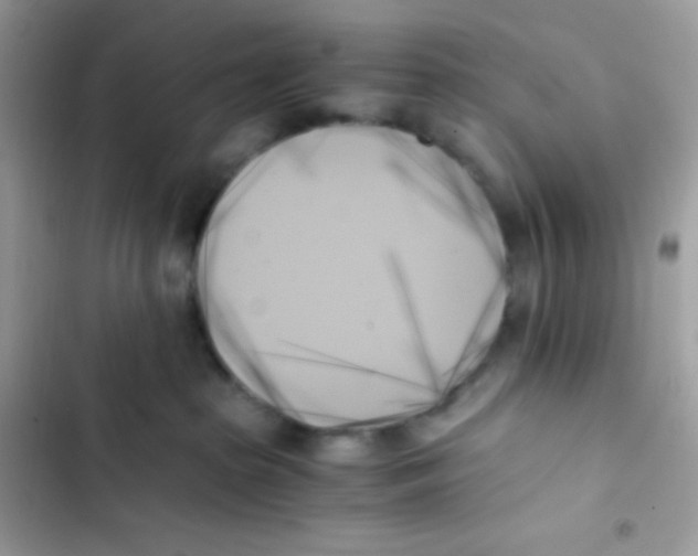 X0000103130285200809191948
