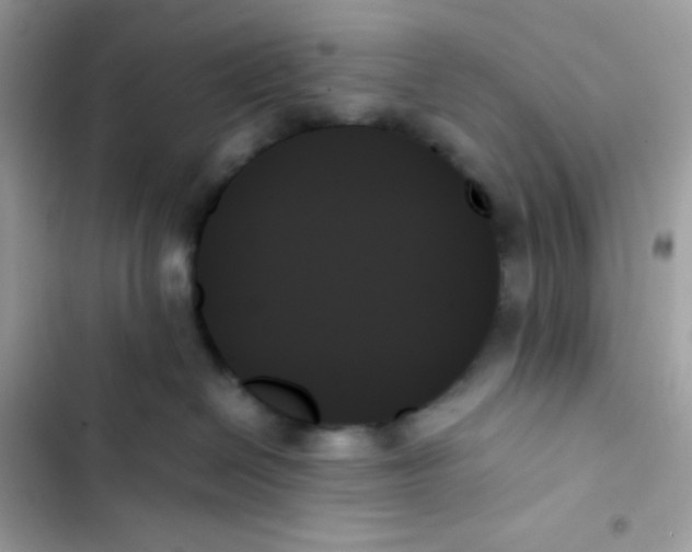 X0000103130286200809191948