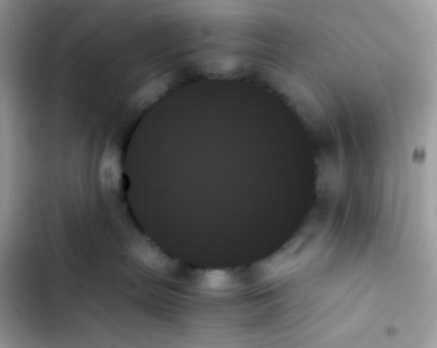 X0000103130287200809191948