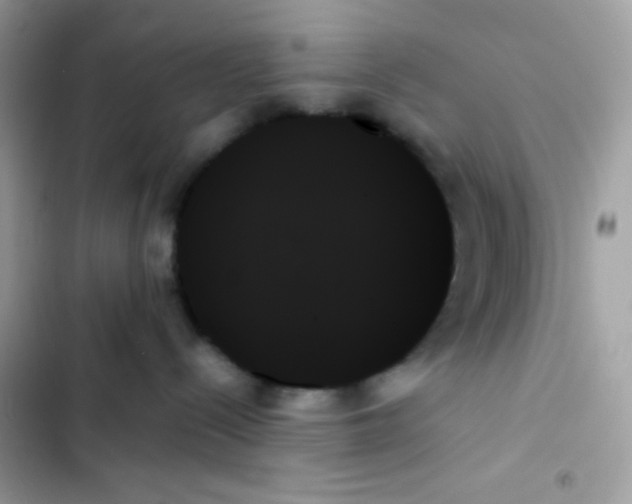 X0000103130288200809191948