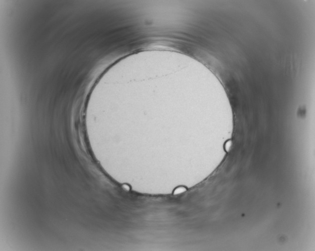X0000103130289200809191948