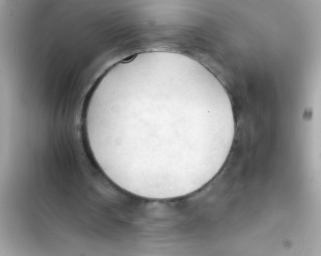 X0000103130290200809191948