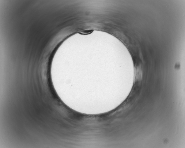 X0000103130291200809191948