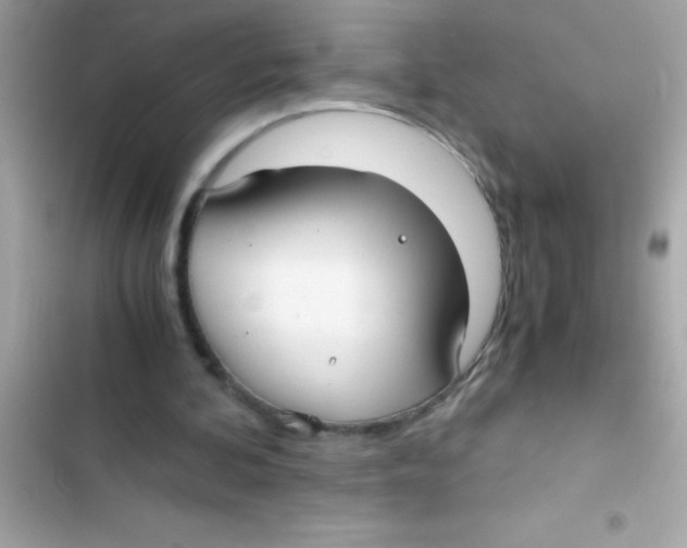 X0000103130292200809191948