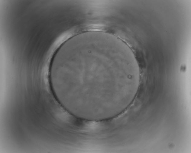 X0000103130293200809191948