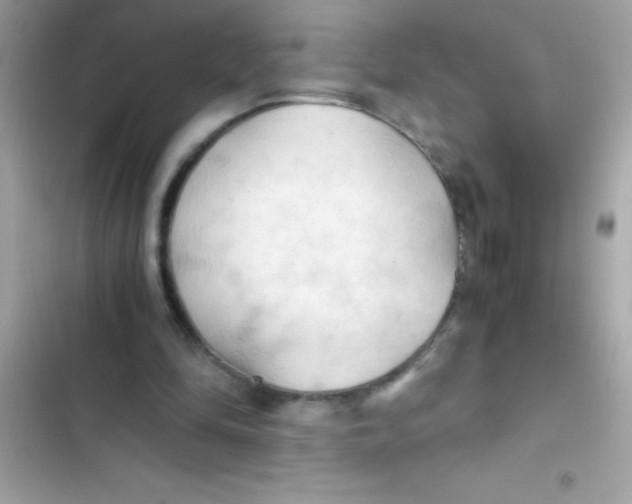 X0000103130294200809191948