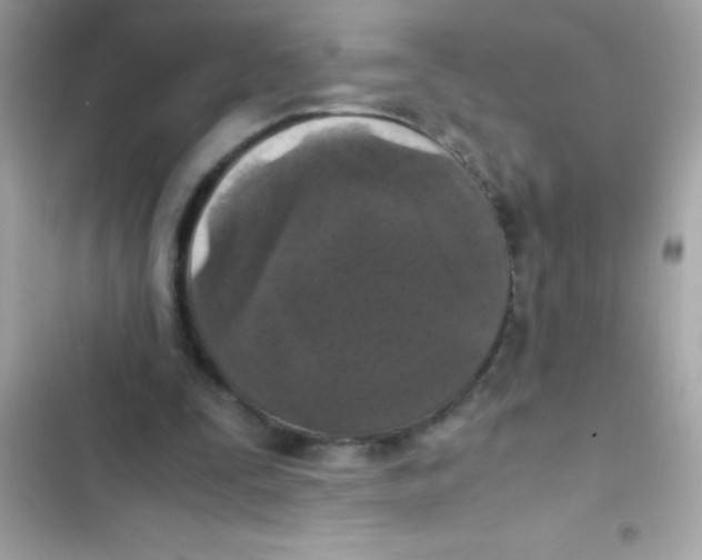 X0000103130295200809191947