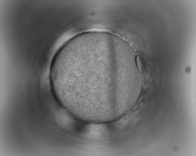 X0000103130296200809191947