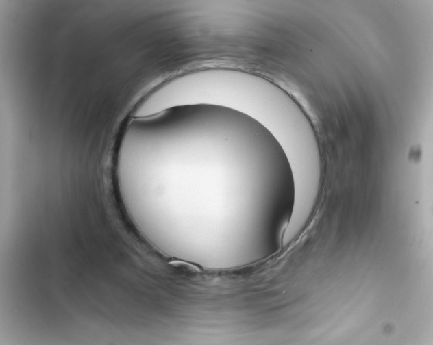 X0000103130297200809191947