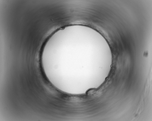 X0000103130298200809191947