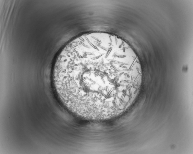 X0000103130299200809191947